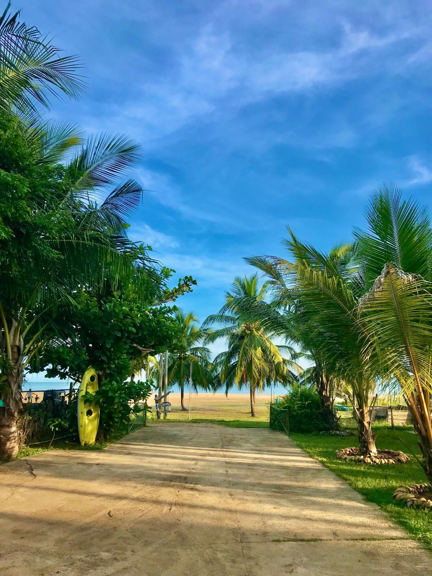 Aqua Marine Beach Hotel คัลคูดาห์ ภายนอก รูปภาพ